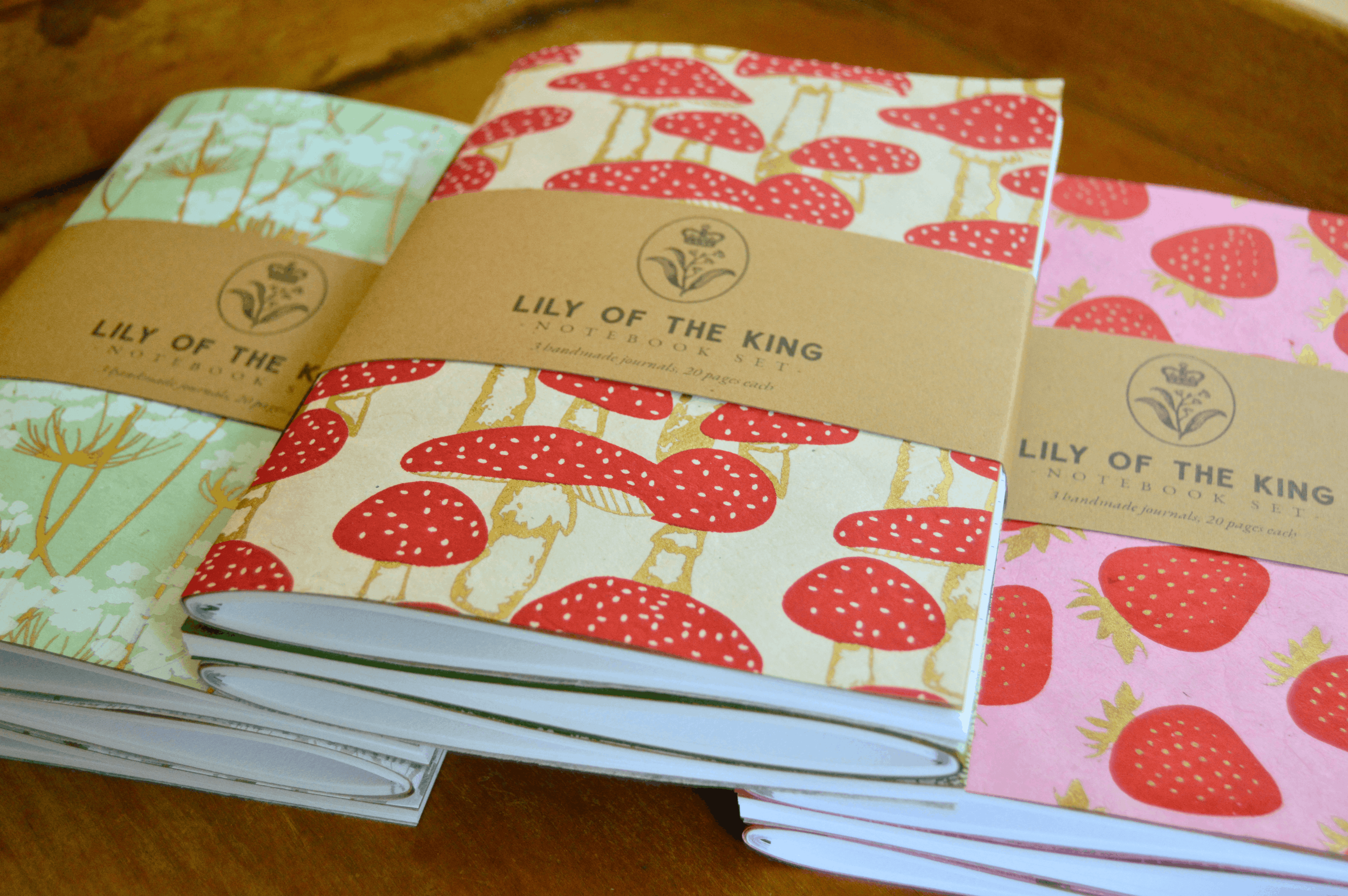 Handmade Notebooks (Pack of 3)