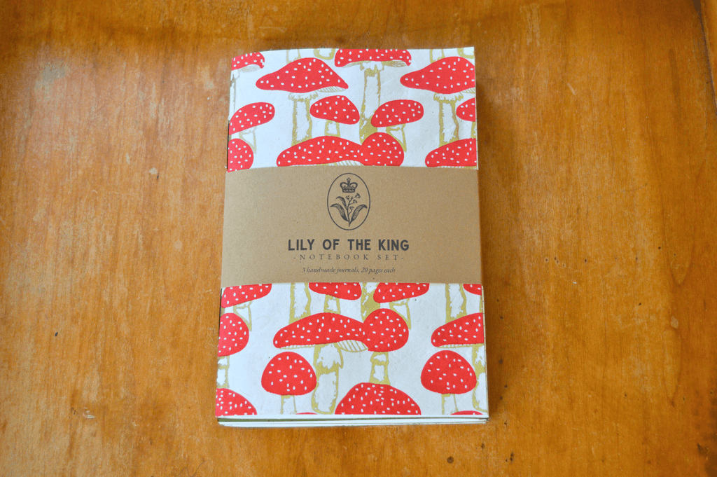 Handmade Notebooks (Pack of 3)